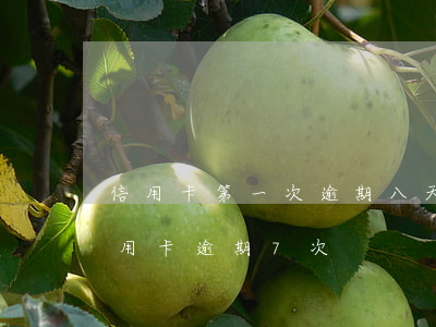 信用卡第一次逾期八天(兩年內(nèi)信用卡逾期7次)