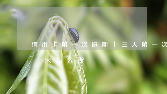 信用卡第一次逾期十三天(第一次信用卡逾期三天怎么辦)