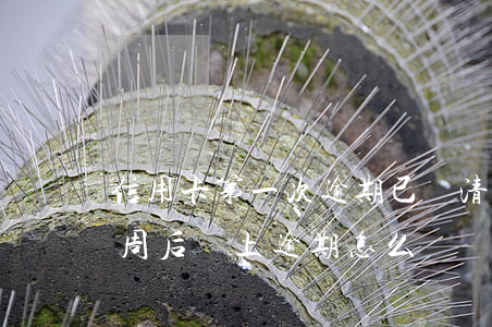 信用卡第一次逾期已還清-忘記還信用卡 一周后還上逾期怎么辦
