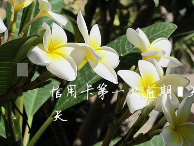信用卡第一次逾期幾天(信用卡第一次逾期幾天)