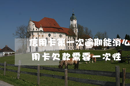 信用卡第一次逾期能消么(信用卡逾期被取消用卡欠款需要一次性還嗎)