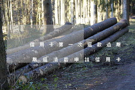 信用卡第一次還款逾期-嚴(yán)重逾期還清后申請信用卡