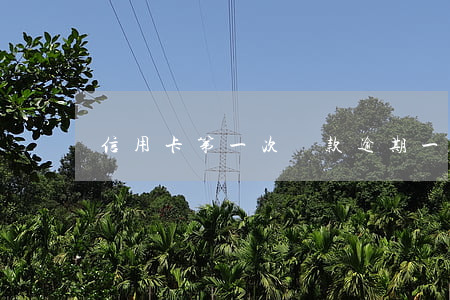 信用卡第一次還款逾期一天
