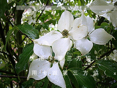 信用卡第三方協(xié)商還款可靠嗎(信用卡跟第三方協(xié)議還款能成立嗎)