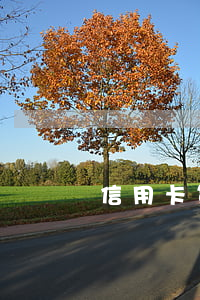 信用卡第二天算逾期嗎(信用卡第二天算逾期嗎)
