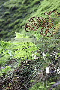 信用卡第二天還款算不算逾期還款-逾期多久會被列入失信人名單