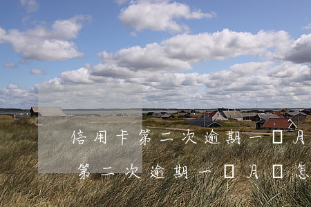 信用卡第二次逾期一個月會怎么樣-信用卡第二次逾期一個月會怎么樣嗎