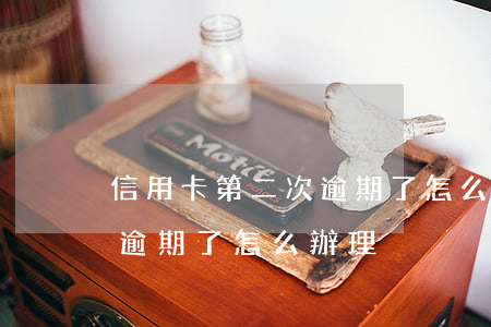 信用卡第二次逾期了怎么辦-信用卡第二次逾期了怎么辦理