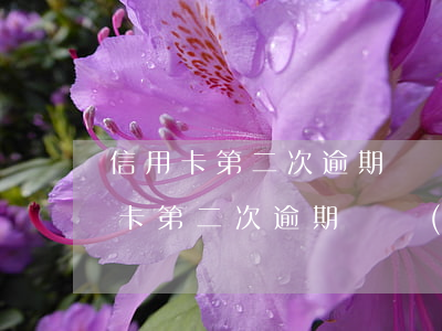 信用卡第二次逾期凍結(jié)賬戶（信用卡第二次逾期凍結(jié)）