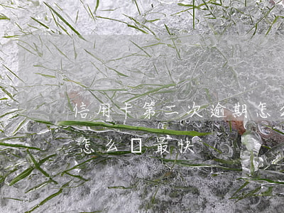 信用卡第二次逾期怎么辦(信用卡第二次逾期怎么辦最快)