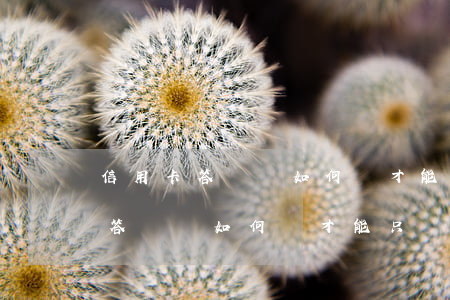 信用卡答辯狀如何寫才能只還本金?-信用卡答辯狀如何寫才能只還本金