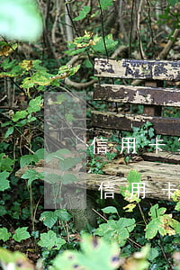 信用卡算沒有逾期算債務(wù)嗎(有沒有信用卡逾期的)