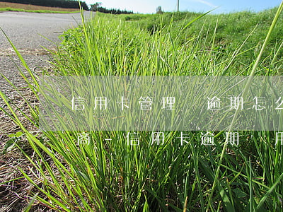 信用卡管理費逾期怎么和銀行協(xié)商-信用卡 逾期費用