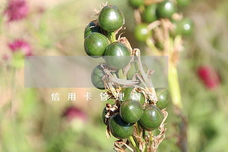 信用卡管理辦法