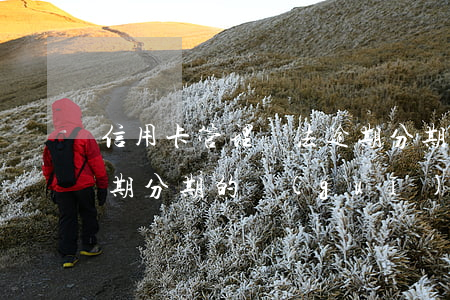 信用卡管理辦法逾期分期(信用卡管理辦法逾期分期的規(guī)定)