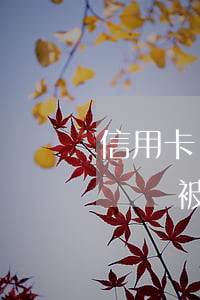 信用卡糾紛不還會(huì)坐牢嗎(信用卡糾紛被民事起訴會(huì)坐牢嗎)