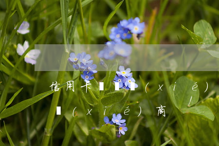 信用卡糾紛 協(xié)商還款（信用卡糾紛   協(xié)商）