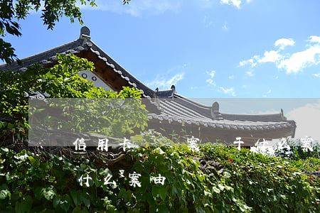 信用卡糾紛案屬于什么案件(信用卡糾紛屬于什么案由)