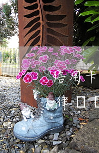 信用卡糾紛案怎么委托律師(信用卡逾期委托律師協(xié)商)