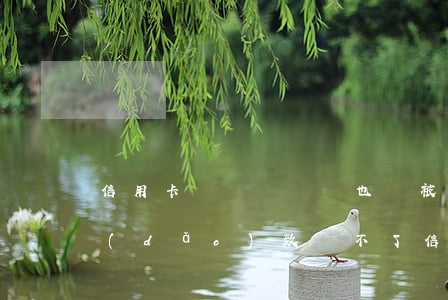 信用卡糾紛沒錢還也會被拘留嗎(刑事拘留導(dǎo)致還不了信用卡后果嚴(yán)重不)