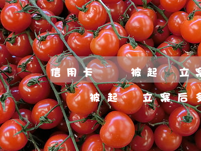 信用卡糾紛被起訴立案后多久開庭-信用卡糾紛被起訴立案后多久開庭審理