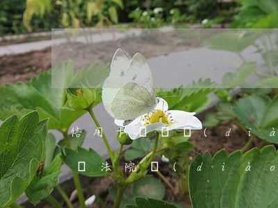 信用卡糾紛調(diào)解流程(信用卡糾紛法院調(diào)解書(shū))