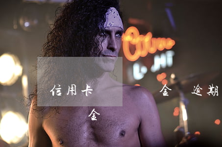 信用卡糾紛違約金與逾期利息(信用卡 違約金 滯納金)
