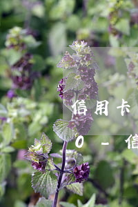 信用卡糾紛還款協(xié)商每月還800-信用卡糾紛還款協(xié)商每月還800元