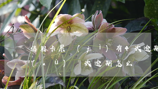 信用卡累計(jì)有4次逾期(信用卡連續(xù)兩次逾期怎么樣?)