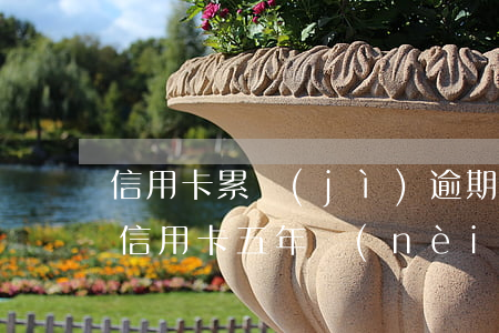 信用卡累計(jì)逾期15個(gè)月(信用卡五年內(nèi)有20個(gè)月逾期)