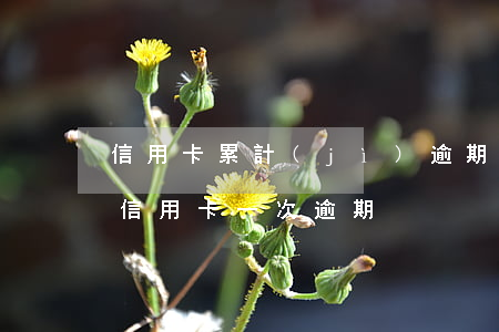 信用卡累計(jì)逾期1個(gè)月-信用卡 一次逾期