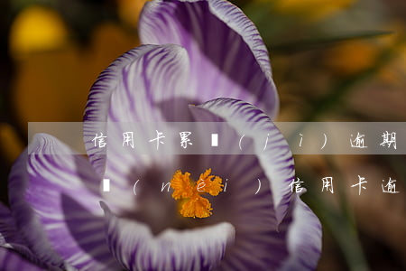 信用卡累計(jì)逾期4次能房貸嗎(五年內(nèi)信用卡逾期兩次可以房貸嗎)