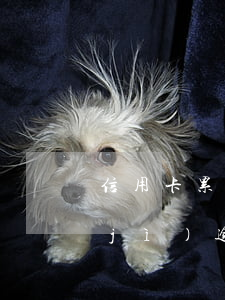 信用卡累計(jì)逾期五次（信用卡累計(jì)逾期五次）