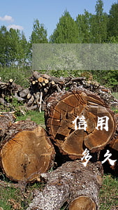 信用卡累計5萬逾期嗎(信用卡5萬以上逾期多久會起訴)