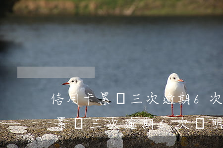 信用卡累計三次逾期6次說明什么-信用卡累計三次逾期6次說明什么原因