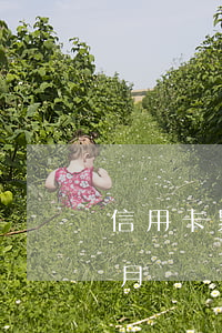 信用卡累計逾期5個月 信用卡累計逾期5個月
