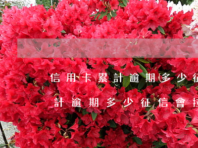 信用卡累計逾期多少征信會拉黑-信用卡累計逾期多少征信會拉黑呢