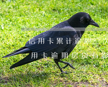 信用卡累计逾期三次会影响房贷吗(有两次信用卡逾期房贷有影响么)
