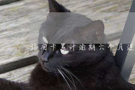 信用卡累计逾期六个月 连续逾期六个月