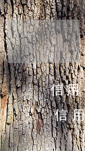 信用卡給別人用別人不還了(能不能用別人的信用卡還自己的信用卡)