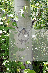 信用卡給別人還不還怎么辦(自己的信用卡別人用了不還怎么辦)