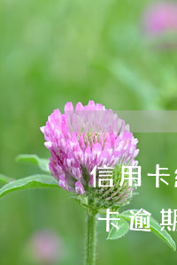 信用卡給朋友用逾期怎么辦(朋友用我的信用卡逾期了怎么辦)
