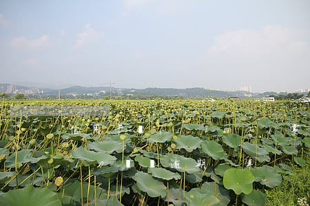 信用卡經(jīng)常逾期10天(信用卡10塊錢逾期一年)