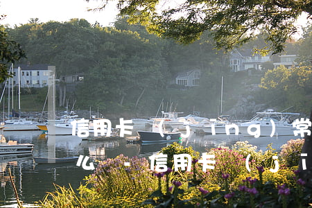信用卡經(jīng)常逾期10天左右怎么辦-信用卡經(jīng)常逾期10天左右怎么辦理