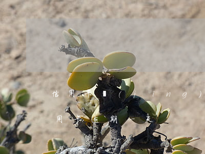 信用卡經(jīng)常逾期一天有事嗎(信用卡逾期一天)