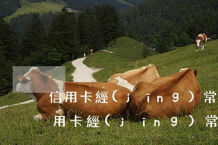 信用卡經(jīng)常逾期但是都還了(信用卡經(jīng)常逾期但是都還了)