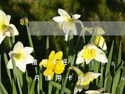 信用卡經(jīng)常逾期兩個(gè)月(信用卡經(jīng)常逾期兩個(gè)月會(huì)怎么樣)