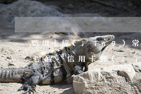 信用卡經(jīng)常逾期為什么銀行不提醒-信用卡經(jīng)常逾期為什么銀行不提醒還款