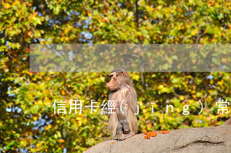 信用卡經(jīng)常逾期的后果是什么