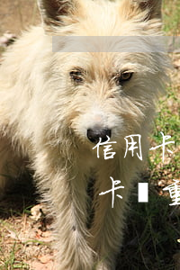 信用卡經(jīng)常逾期能買車嗎(信用卡嚴重逾期還了可以買車嗎)